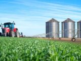 Exportações do agronegócio movimentam US$ 16,34 bilhões em 1.476 municípios