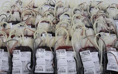 Mar Vermelho? Novas regras para doadores de sangue exigem adaptações de municípios