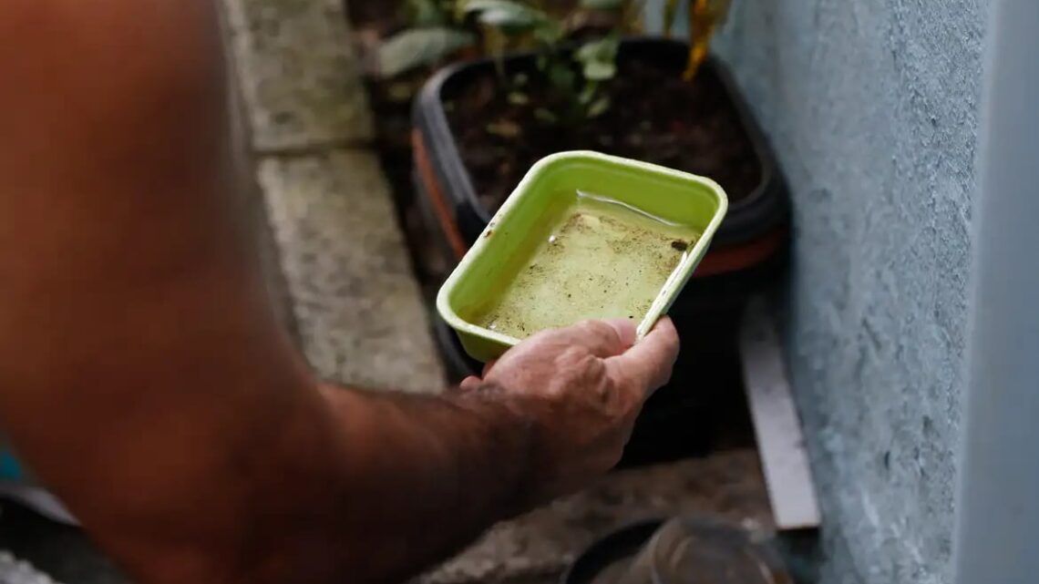 Dengue: São Paulo registra mais de 58 mil casos de dengue desde o início de 2026