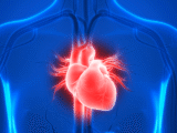 Estudo reforça benefício das estatinas na prevenção cardiovascular em idosos