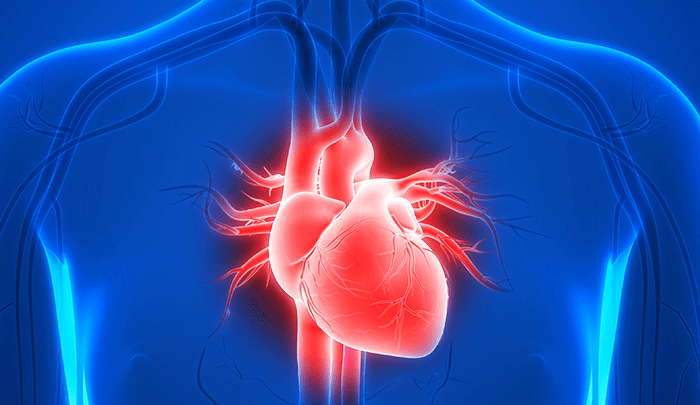 Estudo reforça benefício das estatinas na prevenção cardiovascular em idosos