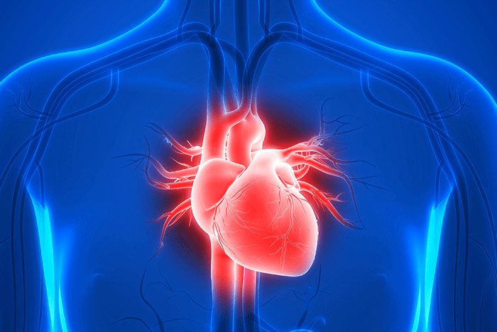 Estudo reforça benefício das estatinas na prevenção cardiovascular em idosos
