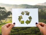 Economia circular: experiências brasileiras mostram como resíduos podem virar negócio