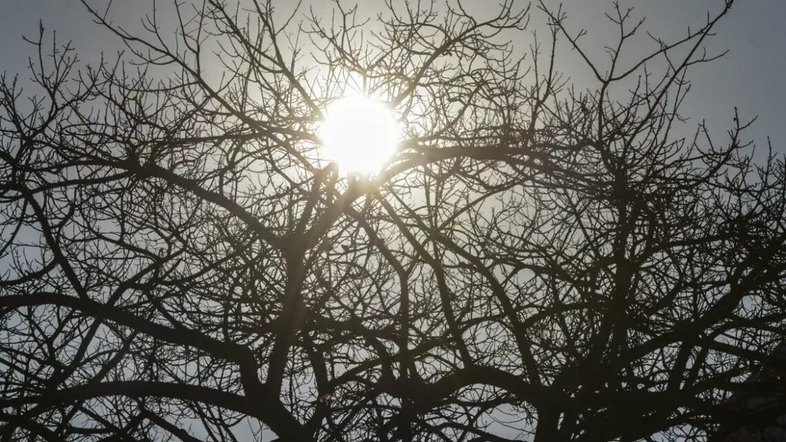 El Niño: agro da Região Centro-Oeste deve antecipar medidas para reduzir efeitos da seca