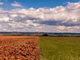 El Niño: plataforma reúne orientações para produtores rurais na safra 2026/2027