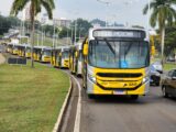 Transporte coletivo em Americana será gratuito neste domingo